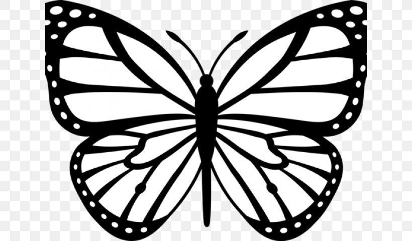 Monarch Butterfly Black And White Drawing Clip Art, PNG, 640x480px, Butterfly, Artwork, Bicycle Wheel, Black And White, Brush Footed Butterfly Download Free