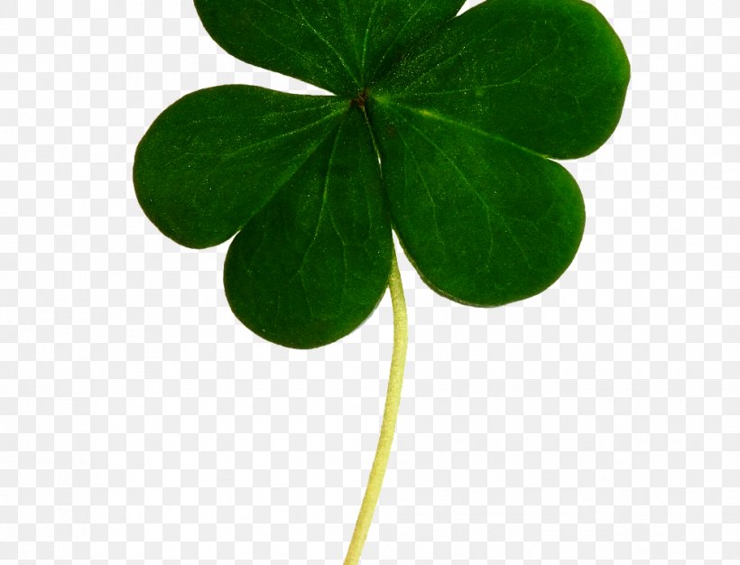 Saint Patrick's Day Clip Art Luck Shamrock Irish People, PNG, 992x758px, Luck, Clover, Fourleaf Clover, Green, Holiday Download Free