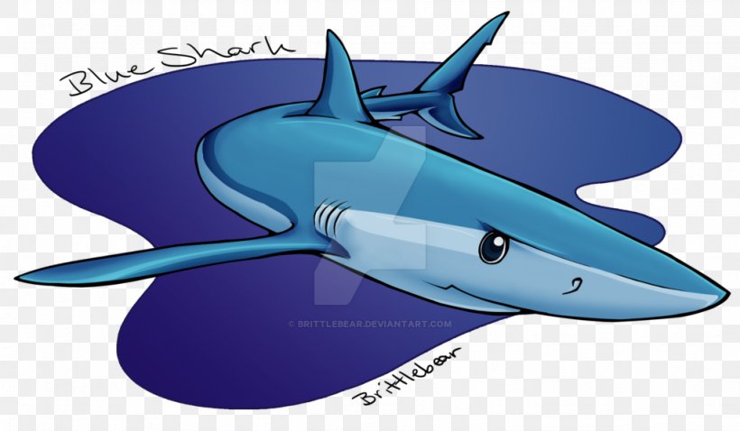 Shark Cobalt Blue Marine Biology Dolphin, PNG, 1024x598px, Shark, Biology, Blue, Cartilaginous Fish, Cobalt Download Free