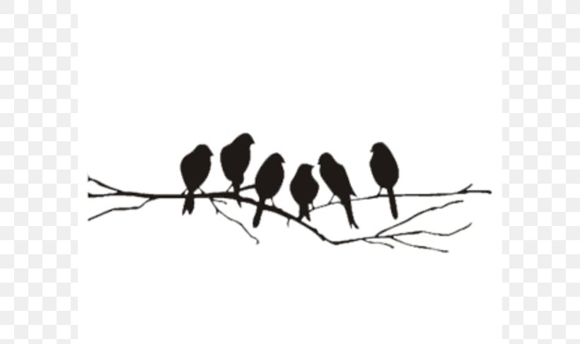 Bird Branch Euclidean Vector Clip Art, PNG, 600x487px, Bird, Beak, Black And White, Branch, Drawing Download Free