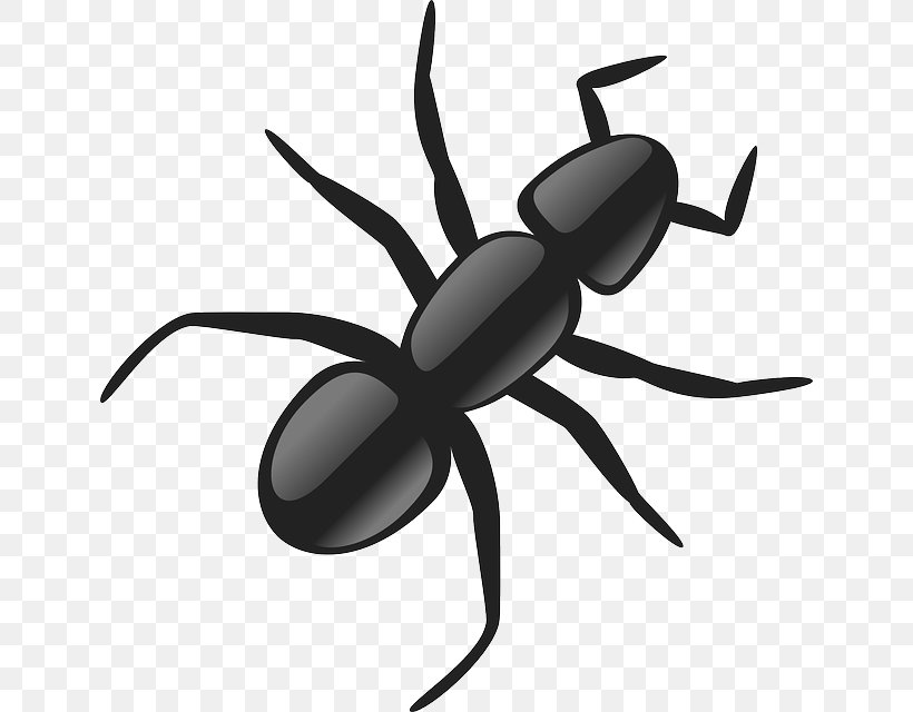 Black Garden Ant Clip Art, PNG, 640x640px, Ant, Arthropod, Artwork, Black And White, Black Garden Ant Download Free