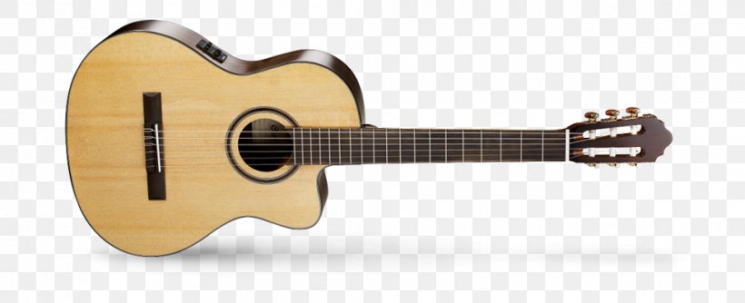 Guitar Amplifier Cort Guitars Acoustic Guitar Acoustic-electric Guitar, PNG, 980x400px, Watercolor, Cartoon, Flower, Frame, Heart Download Free