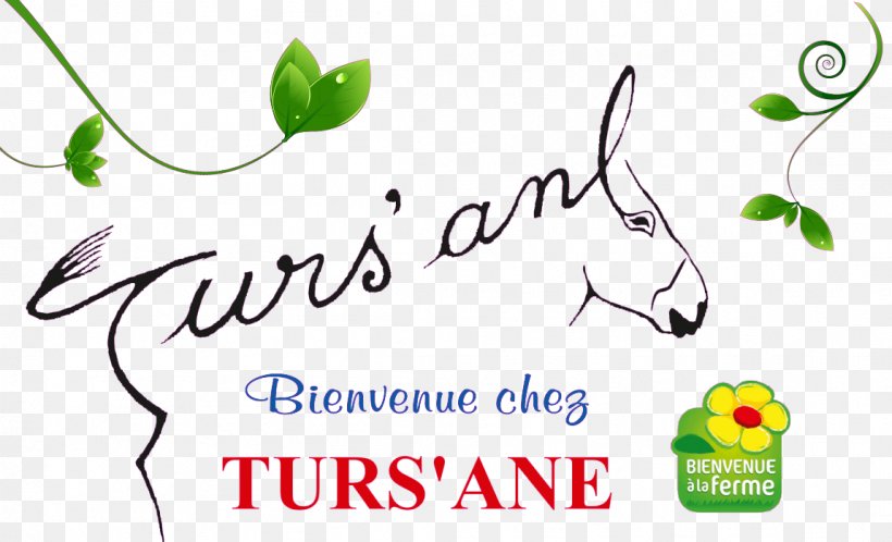 Le Petit Brin De Beauté Âne Avenue De La Côté D'Argent Donkey Milk Facial Care, PNG, 1149x699px, Ane, Animal, Area, Beauty Parlour, Branch Download Free