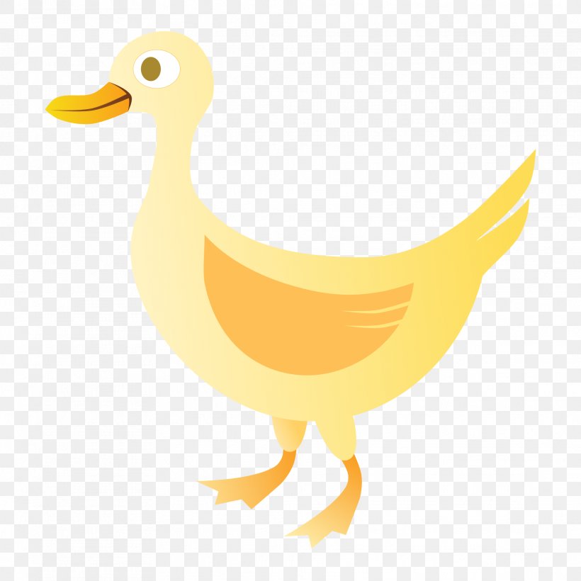 Bird Duck Water Bird Beak Ducks, Geese And Swans, PNG, 1969x1969px, Bird, Beak, Duck, Ducks Geese And Swans, Goose Download Free