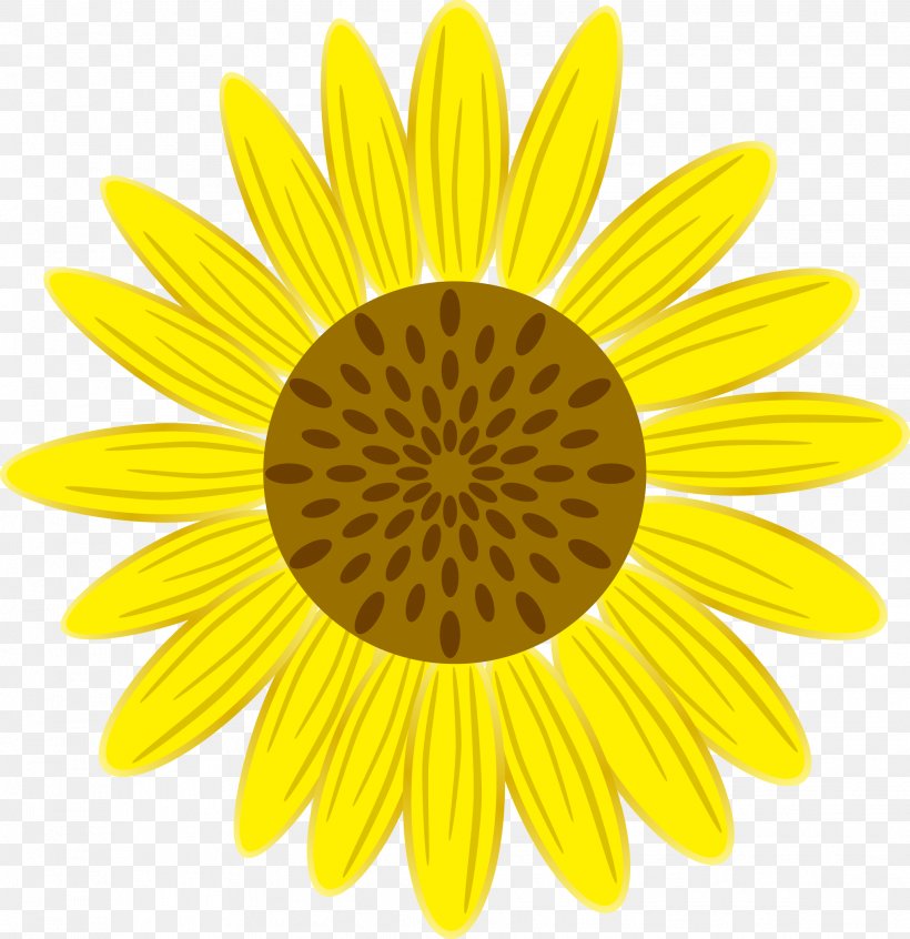 Symmetry Yellow Petal Pattern, PNG, 2067x2135px, Symmetry, Daisy, Daisy Family, Flower, Flowering Plant Download Free