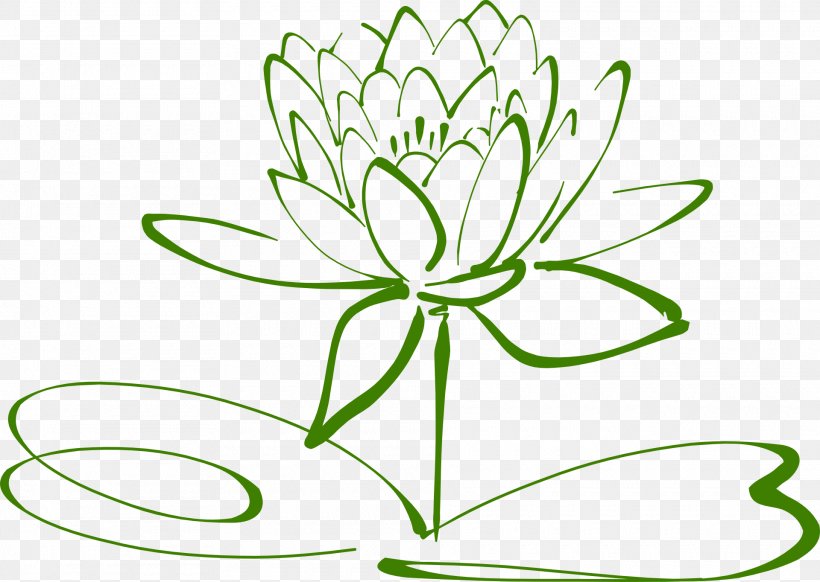 Clip Art Drawing Sacred Lotus Image, PNG, 1920x1364px, Drawing, Botany, Flower, Flowering Plant, Green Download Free