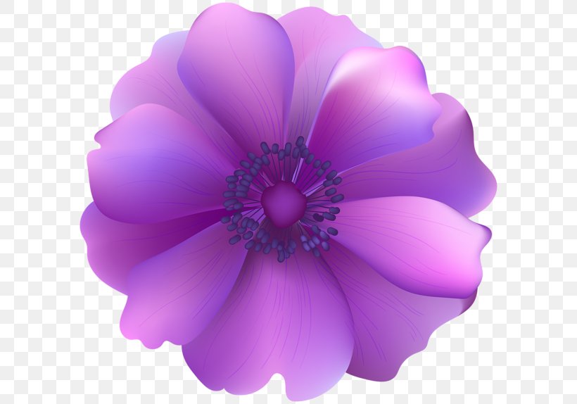 Flower Purple Clip Art, PNG, 600x574px, Flower, Blue, Flowering Plant, Herbaceous Plant, Lavender Download Free