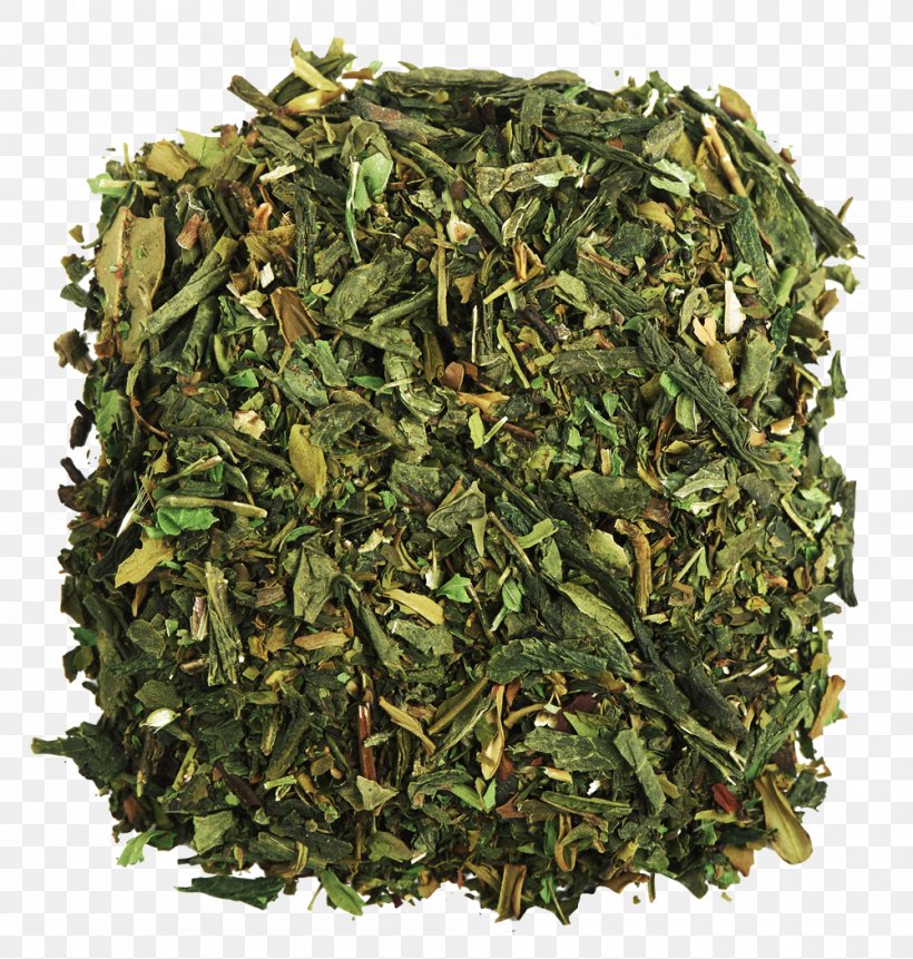 Green Tea Pu'er Tea Teaware Tea Plant, PNG, 1000x1050px, Green Tea, Assam Tea, Bai Mudan, Bancha, Biluochun Download Free