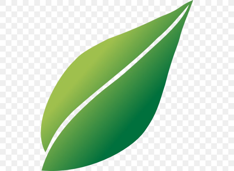 Line Leaf Angle Green, PNG, 534x597px, Leaf, Grass, Green, Plant Download Free