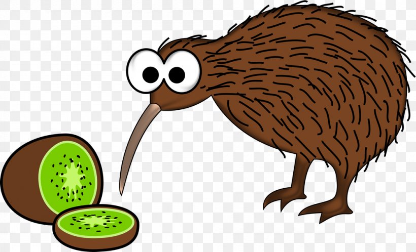 New Zealand Bird Little Spotted Kiwi Common Ostrich, PNG, 1000x608px, New Zealand, Animal Figure, Beak, Bird, Clothing Download Free