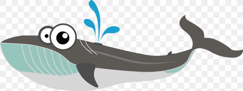 Baleen Whale Euclidean Vector, PNG, 2422x911px, Whale, Brand, Cartoon, Designer, Dolphin Download Free