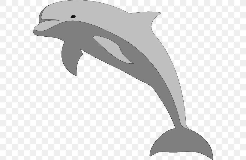Bottlenose Dolphin Clip Art, PNG, 600x533px, Dolphin, Beak, Bird, Black And White, Bottlenose Dolphin Download Free