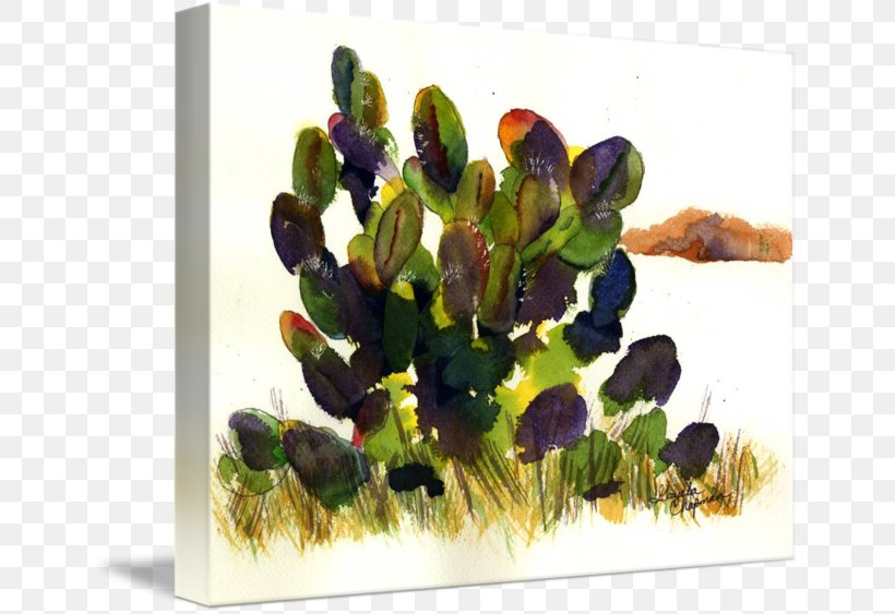 Cactaceae Watercolor Painting Imagekind Printmaking, PNG, 650x563px, Cactaceae, Abstract Art, Aquarium Decor, Art, Art Museum Download Free
