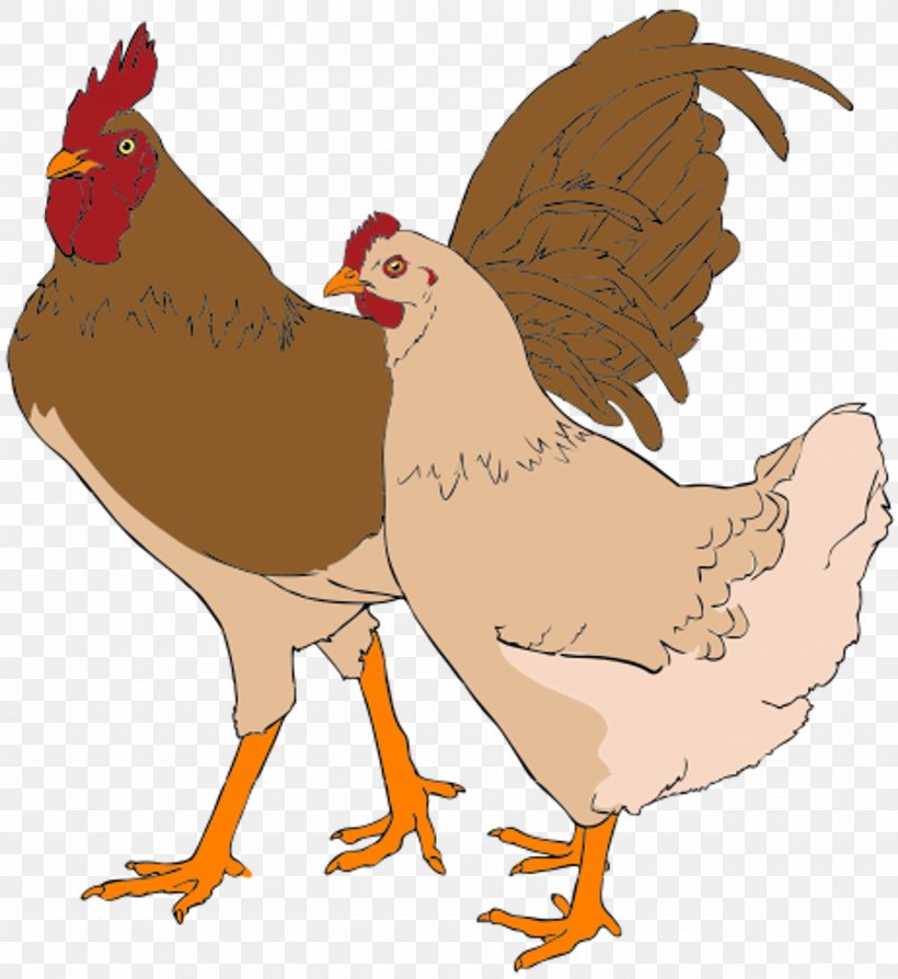 Faverolles Chicken Rooster Hen Clip Art, PNG, 1280x1397px, Faverolles Chicken, Art, Beak, Bird, Chicken Download Free