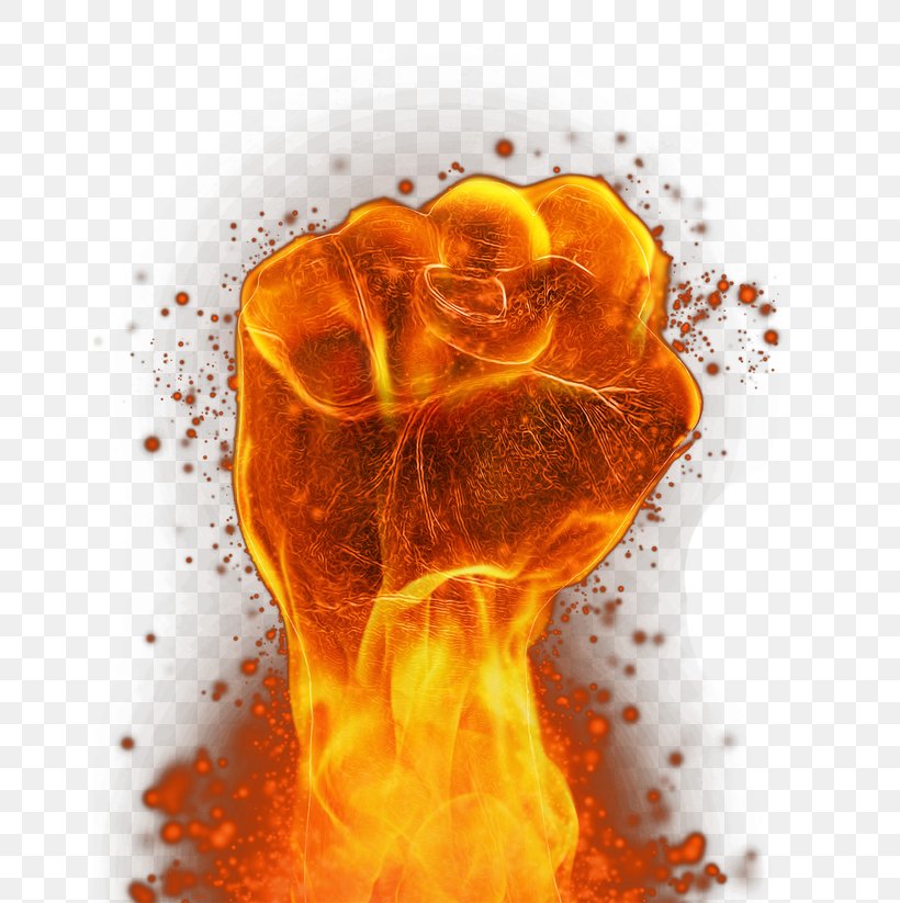 Fire Flame, PNG, 650x823px, Flame, Combustion, Cool Flame, Fire, Fist Download Free