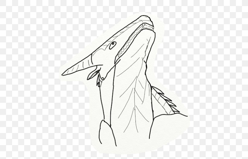 Line Art Marine Mammal Cartoon Sketch, PNG, 559x526px, Line Art, Art, Artwork, Beak, Bird Download Free