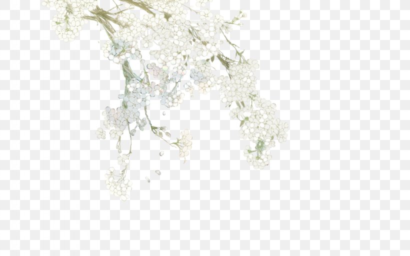 White Flower, PNG, 1280x800px, White, Chart, Floor, Flooring, Flower Download Free