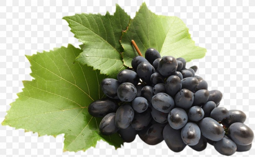Common Grape Vine Zante Currant Clip Art, PNG, 1200x742px, Common Grape Vine, Berry, Bilberry, Blackcurrant, Blueberry Download Free