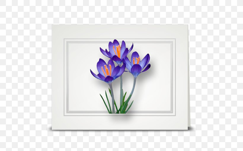 Flower Violet Crocus Petal Lavender, PNG, 510x510px, Flower, Blue, Crocus, Flowering Plant, Iridaceae Download Free