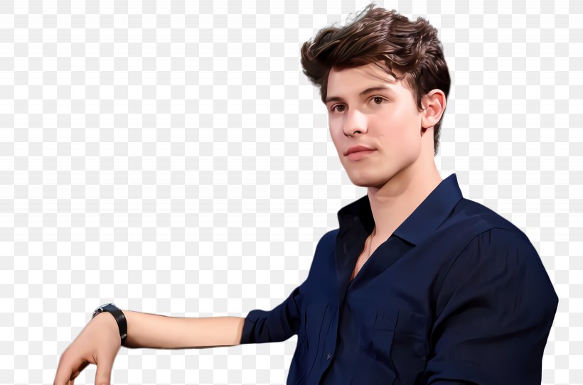 Hair Cartoon, PNG, 2460x1628px, Shawn Mendes, Arm, Black Hair, Cheek, Chin Download Free