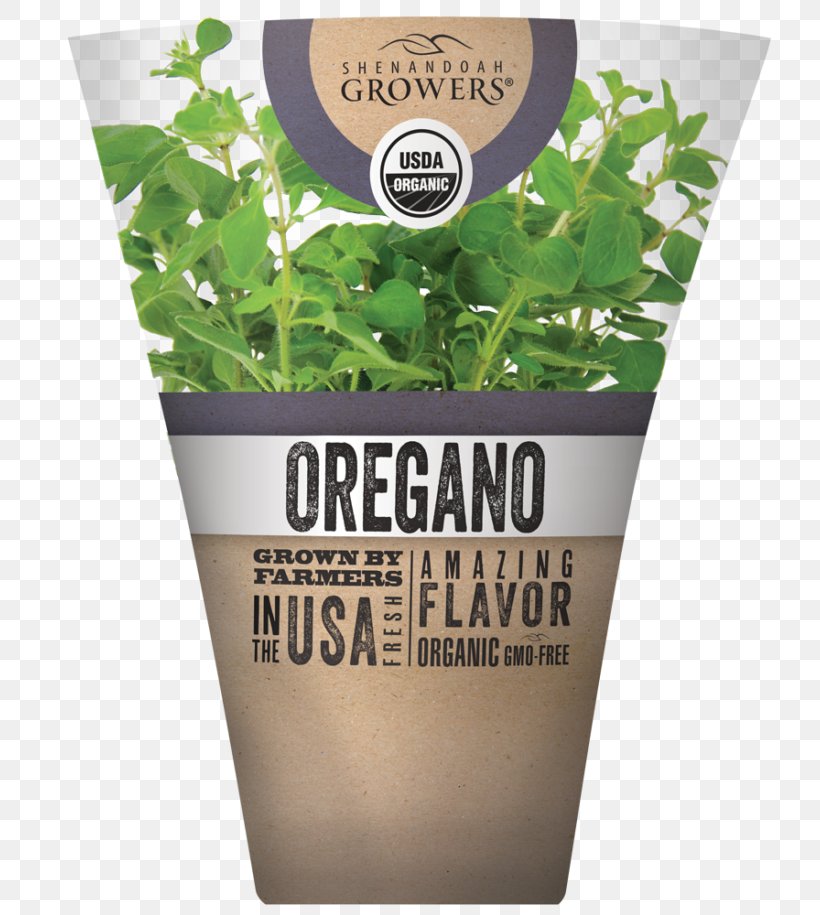 Herb Organic Food Shenandoah Growers Inc. Oregano Flavor, PNG, 768x915px, Herb, Brand, Countertop, Flavor, Flowerpot Download Free