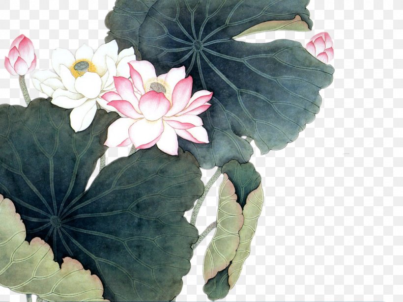 Nelumbo Nucifera Chinese Painting Art, PNG, 1024x768px, Nelumbo Nucifera, Art, Birdandflower Painting, Chinese Art, Chinese Painting Download Free