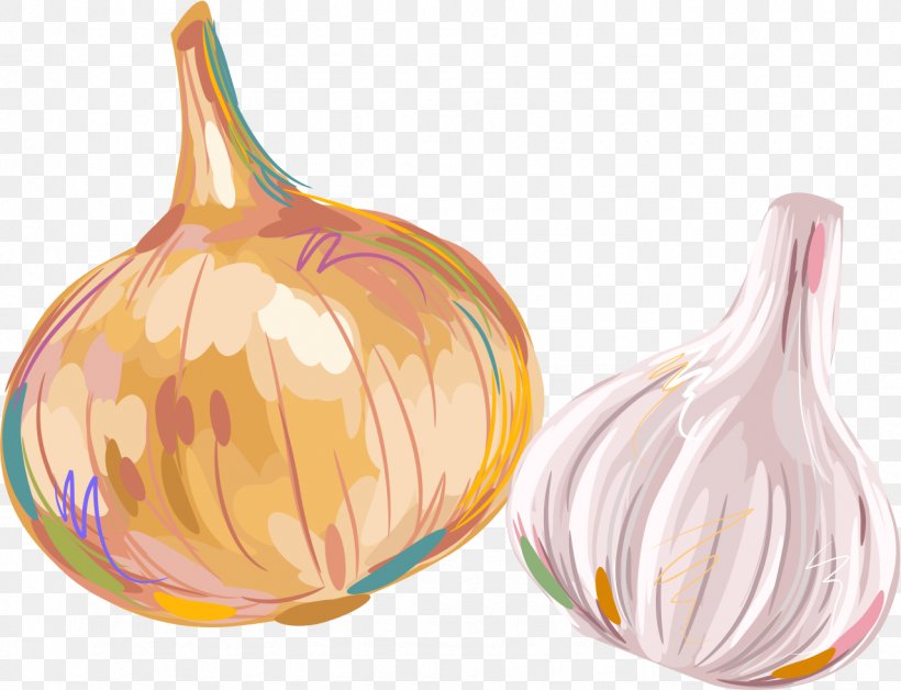 Shallot Ingredient Garlic, PNG, 1279x981px, Shallot, Food, Garlic, Ingredient, Onion Download Free