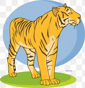 Tiger - Tiger Clip Art Lion Illustration Openclipart PNG