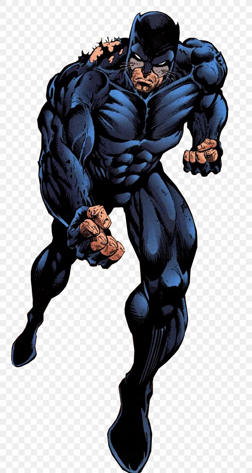 Wildcat Superhero Ra's Al Ghul DC Universe Online Cyborg, PNG, 2500x4686px, Wildcat, Aztek, Character, Comic Book, Comics Download Free