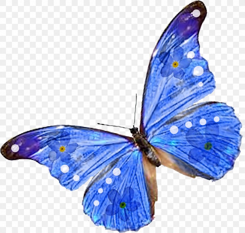 Butterfly Insect Desktop Wallpaper Clip Art, PNG, 1785x1700px, Butterfly, Arthropod, Brush Footed Butterfly, Butterflies And Moths, Color Download Free