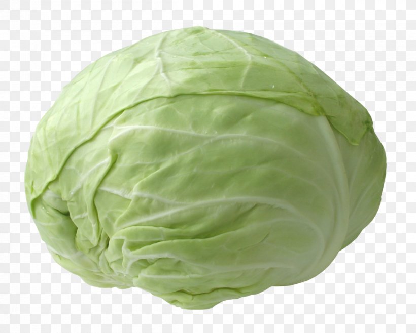 Cabbage Vegetable Spring Greens Cauliflower, PNG, 1200x964px, Cabbage, Brassica Oleracea, Broccoli, Cauliflower, Collard Greens Download Free