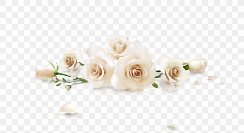 Beach Rose White Flower, PNG, 980x535px, Beach Rose, Cut Flowers, Floral Design, Flower, Flower Arranging Download Free