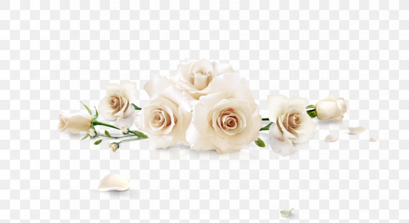 Beach Rose White Flower Png 980x535px Beach Rose Cut Flowers Floral Design Flower Flower Arranging Download