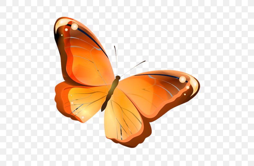 Butterfly Image Drawing Vector Graphics, PNG, 600x537px, Butterfly, Arthropod, Brush Footed Butterfly, Butterflies Insects, Cartoon Download Free