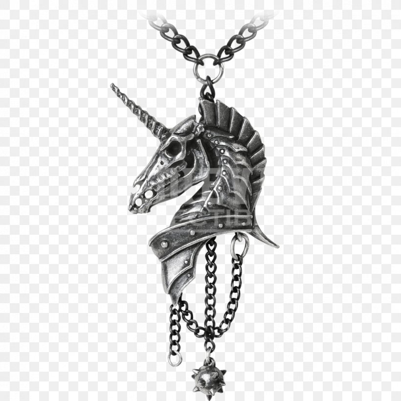 Charms & Pendants Necklace Jewellery Chain Clothing, PNG, 823x823px, Charms Pendants, Alchemy Gothic, Art Jewelry, Black And White, Body Jewelry Download Free
