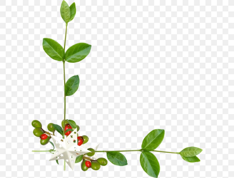 Curb Flower Clip Art, PNG, 600x624px, Curb, Branch, Data Compression, Decorative Arts, Flora Download Free