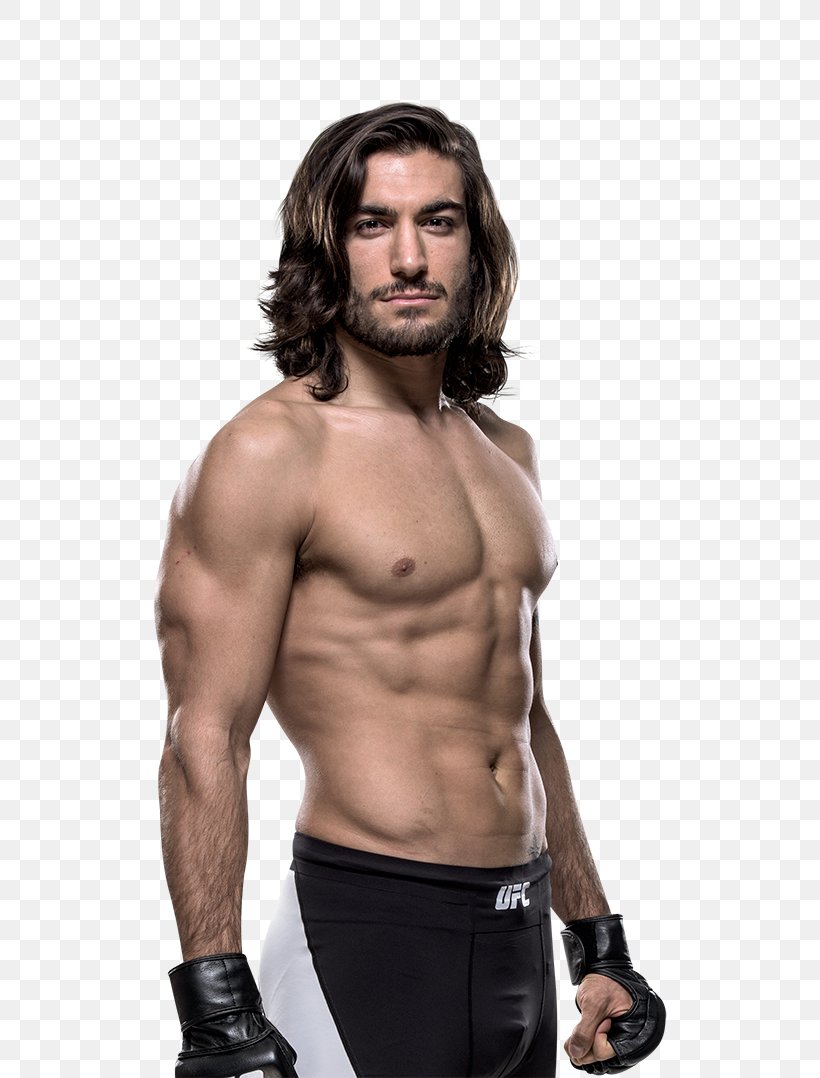 Elias Theodorou The Ultimate Fighter UFC 185: Pettis Vs. Dos Anjos Mixed Martial Arts UFC 231, PNG, 720x1078px, Watercolor, Cartoon, Flower, Frame, Heart Download Free