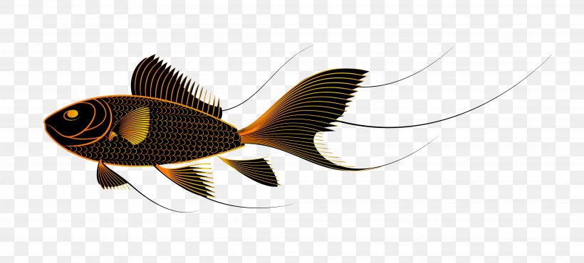 Goldfish Clip Art, PNG, 4218x1908px, Goldfish, Aquarium, Carassius Auratus, Fish, Membrane Winged Insect Download Free