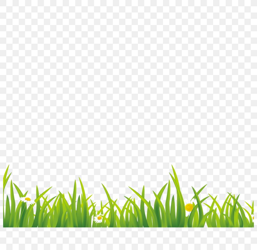 Green Gratis Euclidean Vector Grass, PNG, 800x800px, 2d Computer Graphics, Green, Area, Free Software, Freeware Download Free