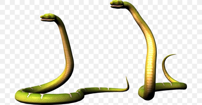 Snakes Mambas Reptile Cobra, PNG, 699x428px, Snakes, Anaconda, Animal, Blog, Cobra Download Free