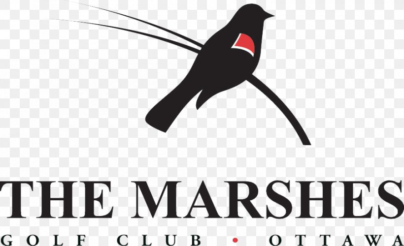 Beak Logo Marsh Brand Font, PNG, 900x549px, Beak, Advertising, Bird, Brand, Logo Download Free