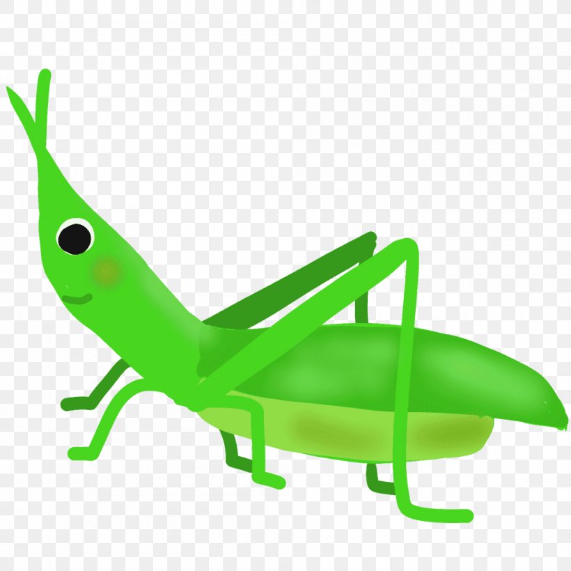 Chinese Grasshopper Caelifera Insect Clip Art, PNG, 1000x1000px, Chinese Grasshopper, Caelifera, Credit, Cricket Like Insect, Grass Download Free