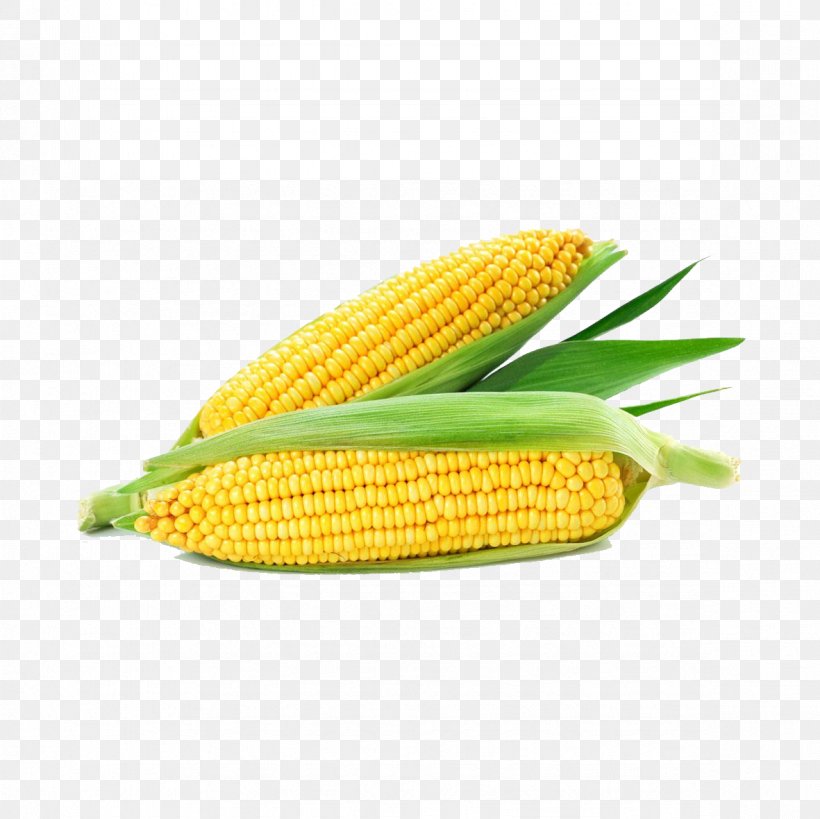 Corn On The Cob Maize Ear Corncob Cereal, PNG, 1181x1181px, Corn On The Cob, Cereal, Commodity, Corn Kernel, Corn Kernels Download Free