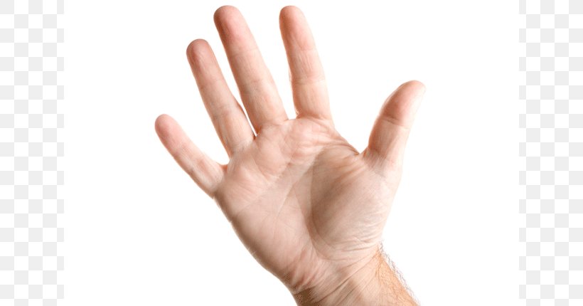Hand Thumb Finger Toe Wrist, PNG, 640x430px, Hand, Arm, Digit, Finger, Fist Download Free