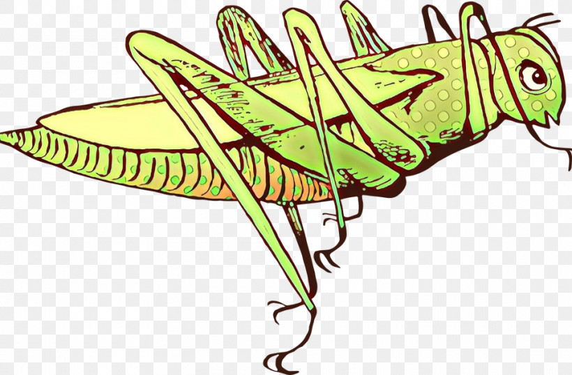 Insect Leaf Grasshopper Line Art Emperor Moths, PNG, 960x631px, Insect, Emperor Moths, Grasshopper, Leaf, Line Art Download Free