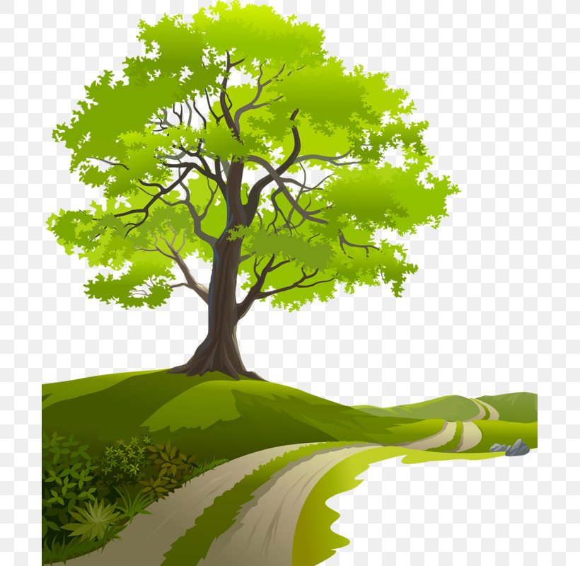 Art Desktop Wallpaper Clip Art, PNG, 701x800px, Art, Branch, Grass, Green, Landscape Download Free