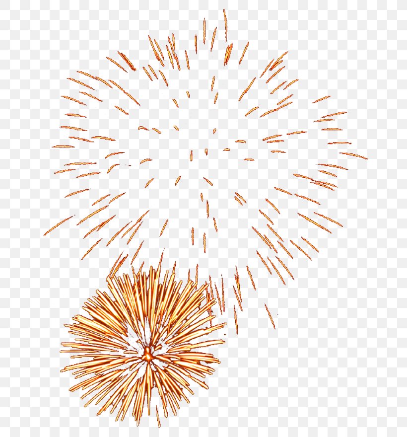 Fireworks Firecracker Clip Art, PNG, 700x880px, Fireworks, Animation, Diwali, Event, Festival Download Free