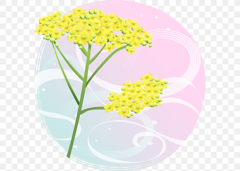 Flower Yellow Plant Stock Photography Clip Art, PNG, 584x585px, Flower, Chrysanthemum, Floral Design, Flowering Plant, Mustard Download Free