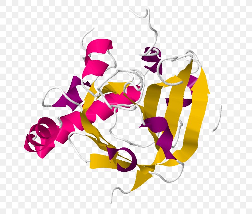 Sortase Disaccharidase Protein Enzyme Disaccharide, PNG, 728x698px, Protein, Cell, Chemical Decomposition, Cterminus, Disaccharide Download Free
