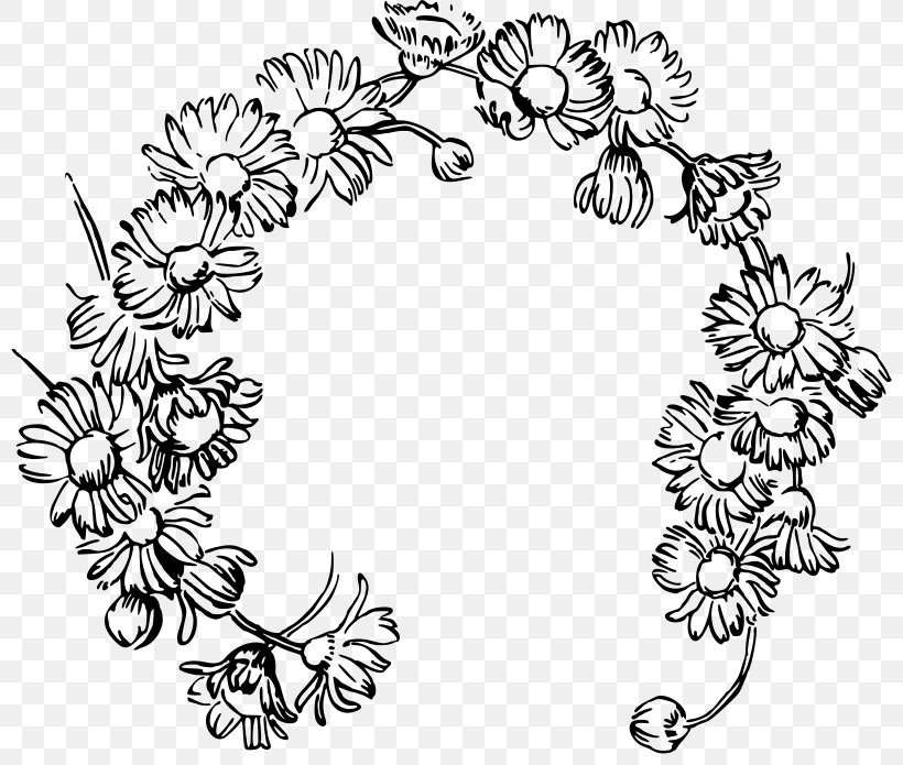 Daisy Chain Common Daisy Drawing Clip Art, PNG, 800x695px, Daisy Chain, Area, Artwork, Black And White, Chain Download Free